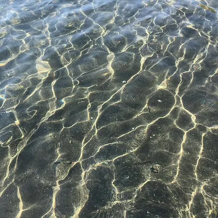 Waterfront 公寓 *